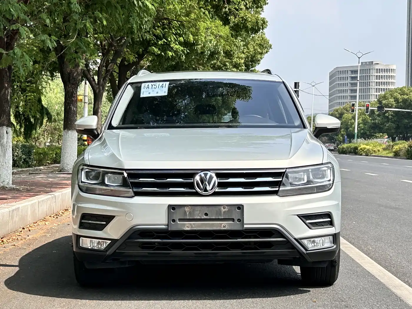 Volkswagen Tiguan L 2017 330TSI Automatic 2WD Luxury Edition фото 2