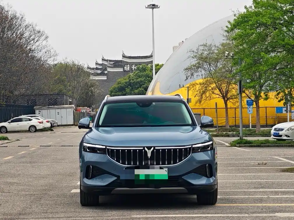 Voyah Auto VOYAH FREE 2021 AWD Standard Range Extender Exclusive Luxury Package фото 2