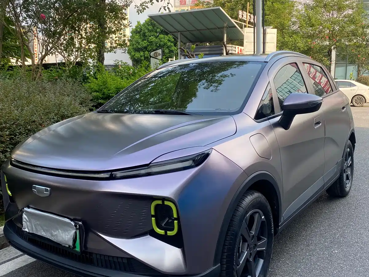 Geely Geometry E Firefly 2023 2023 320KM Cute Tiger 5-seater