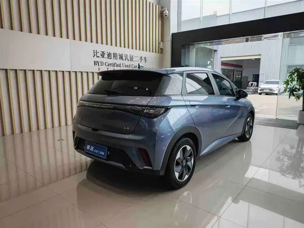 BYD Dolphin 2024 Glory Edition 420km Fashion Edition фото 8