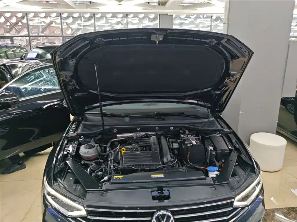 Volkswagen Magotan 2020 280TSI DSG Comfort фото 20