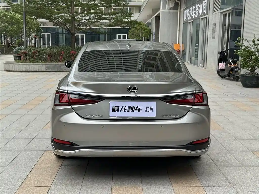 Lexus ES 2021 200 Excellence Edition фото 18