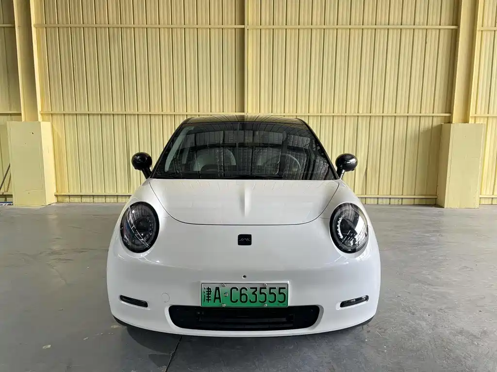 JAC Yiwei Yiwei 3 2024 2024 Beloved Edition 330km Air