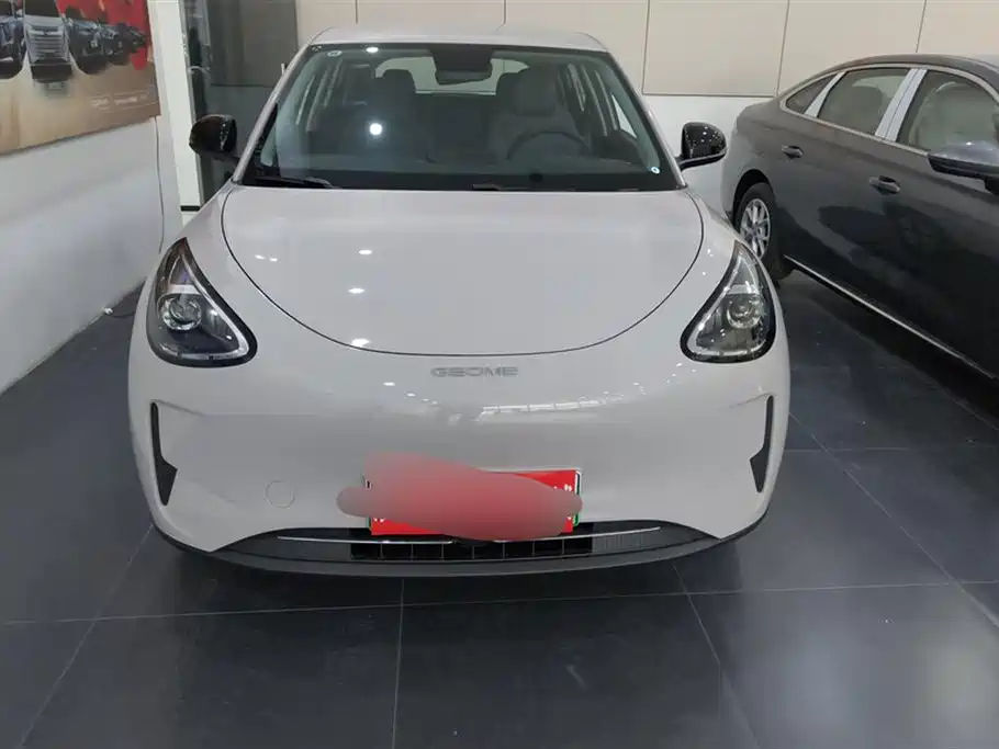 Geely Galaxy Starry Wish 2026 Edition 310km Youth Version фото 2
