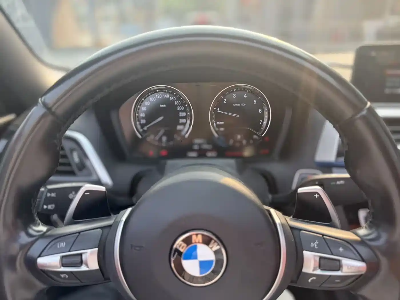 BMW 2 Series (Import) 2019 225i Convertible Coupe Exclusive M Sport Package фото 9
