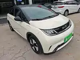 Фото 4 - BYD Dolphin