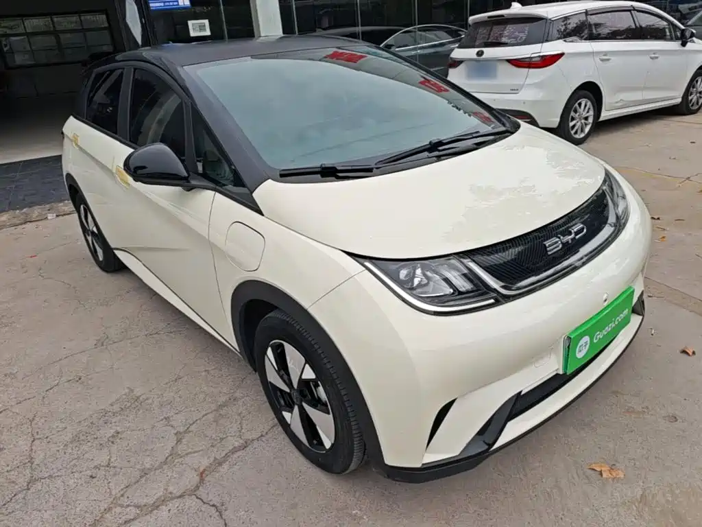 Фото 4 - BYD Dolphin