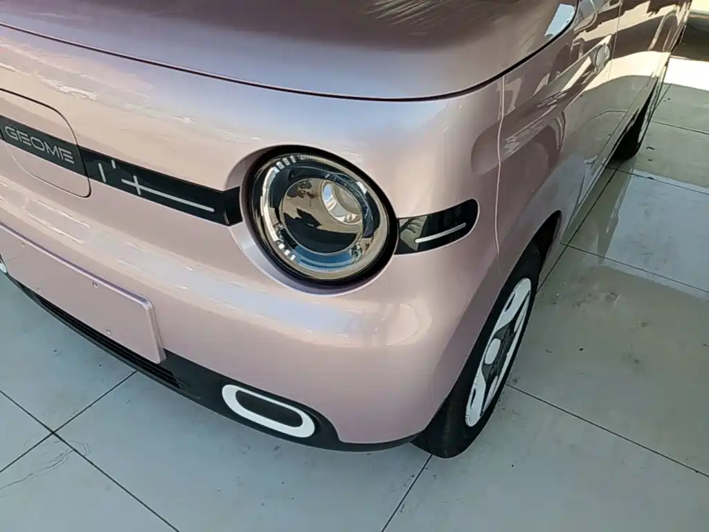 Geely Galaxy Panda 2026 2025 Panda mini 210km Vitality Bear