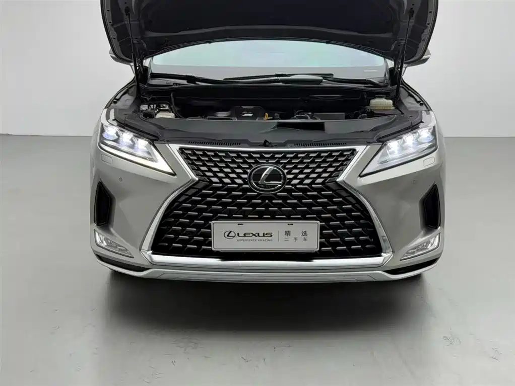 Lexus RX 2020 300 AWD Elegance Edition China V фото 3