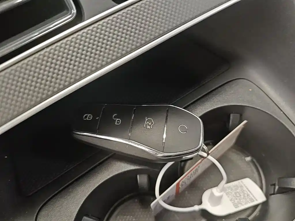 BYD Destroyer 05 2024 Glory Edition DM-i 55KM Luxury фото 9