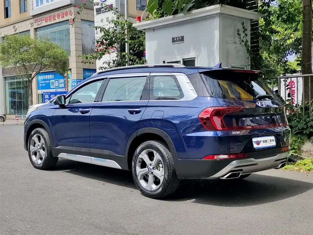 Hyundai Santa Fe 2020 380 TGDi Auto 2WD DLX Premium PLUS фото 4