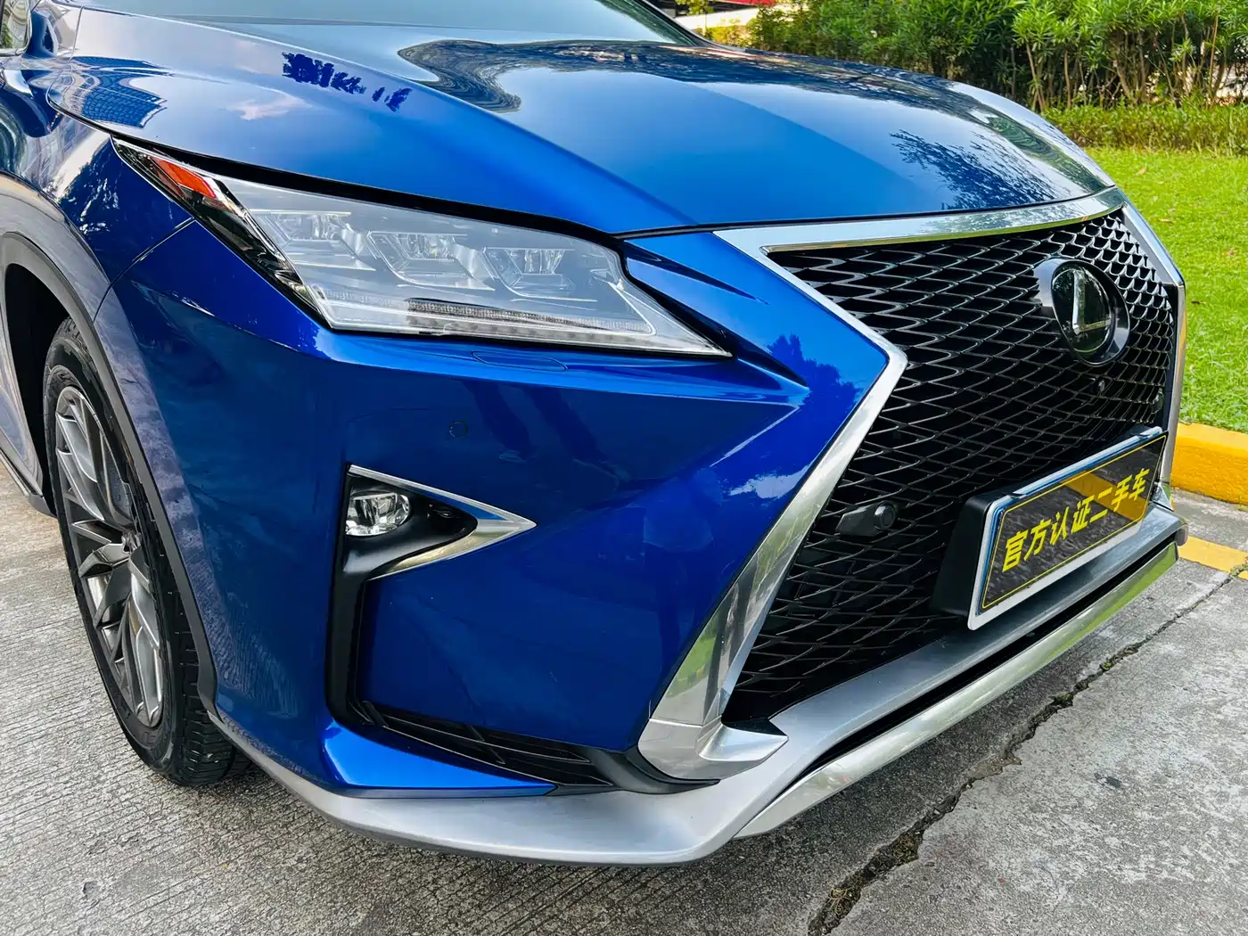 LEXUS RX