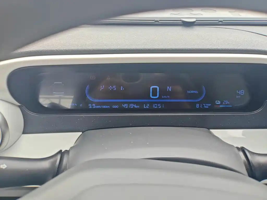 Geely Galaxy Panda 2025 2025 Panda mini 210km Vitality Bear