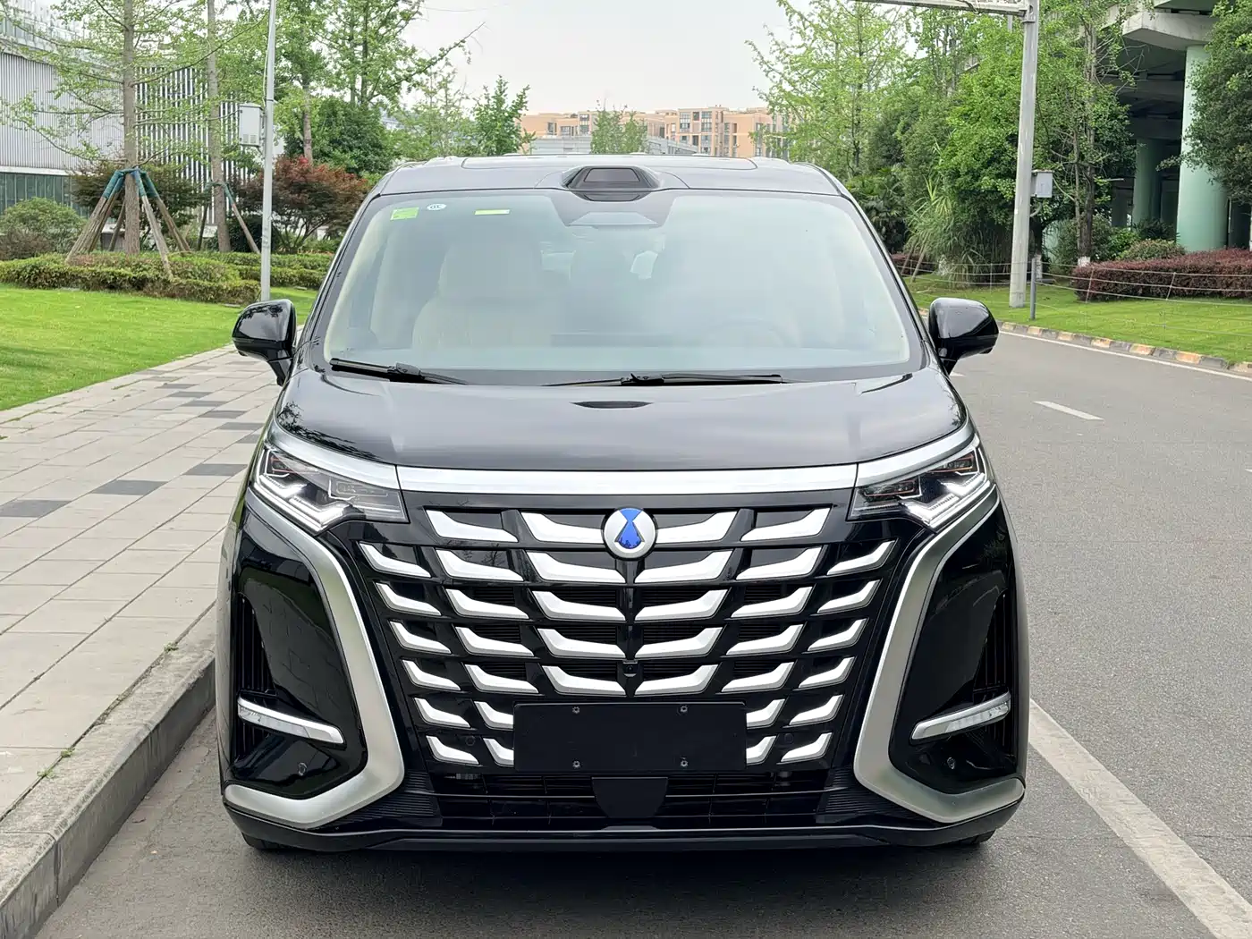 Denza D9 2025 DM-i Smart Drive Edition 1020 AWD Premium фото 2