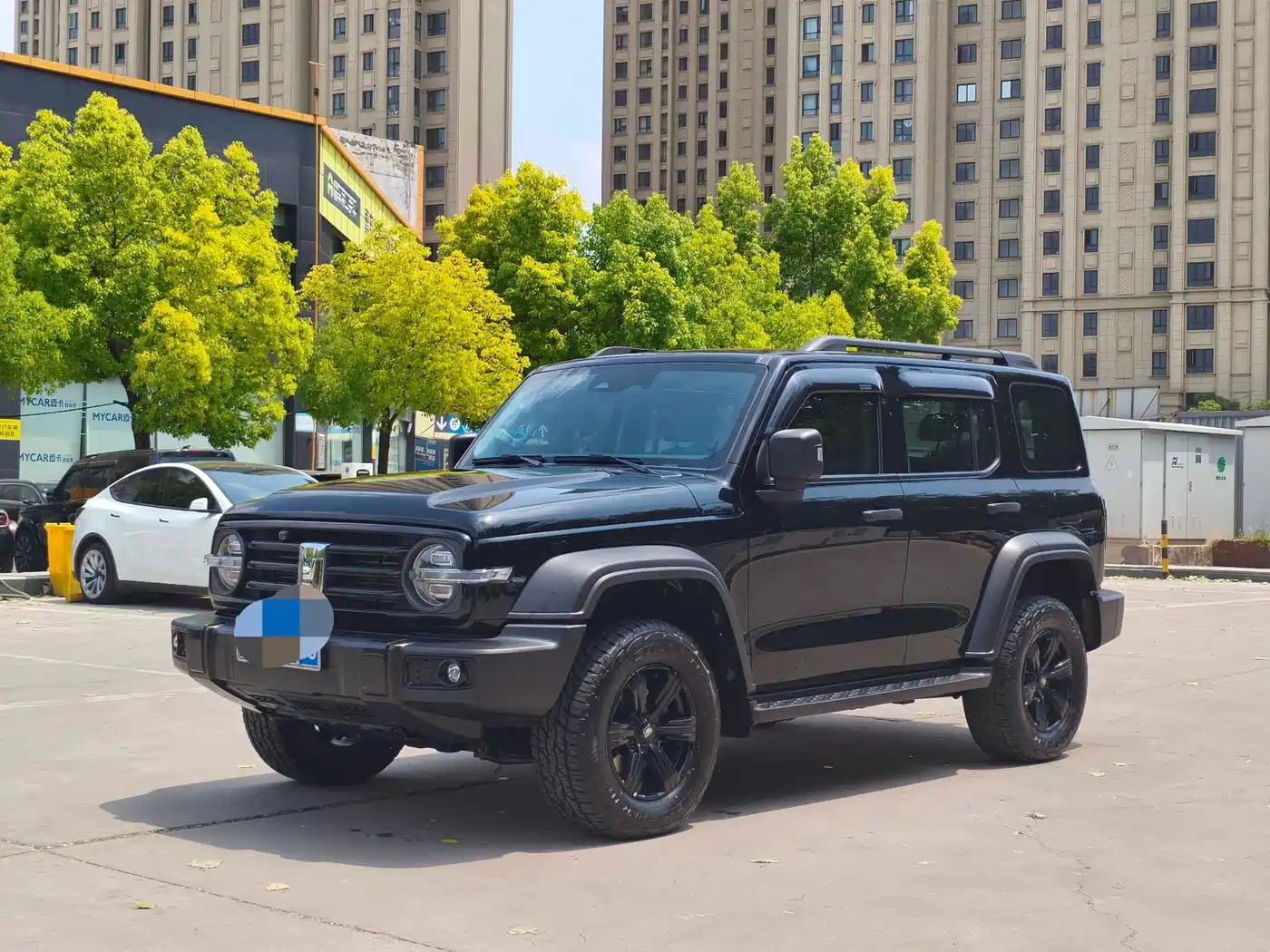 Tank 300 2021 Off-road Version 2.0T Conqueror