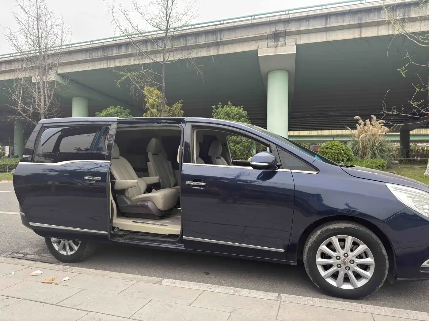 Buick GL8 2011 3.0L XT Luxury Business Flagship фото 6