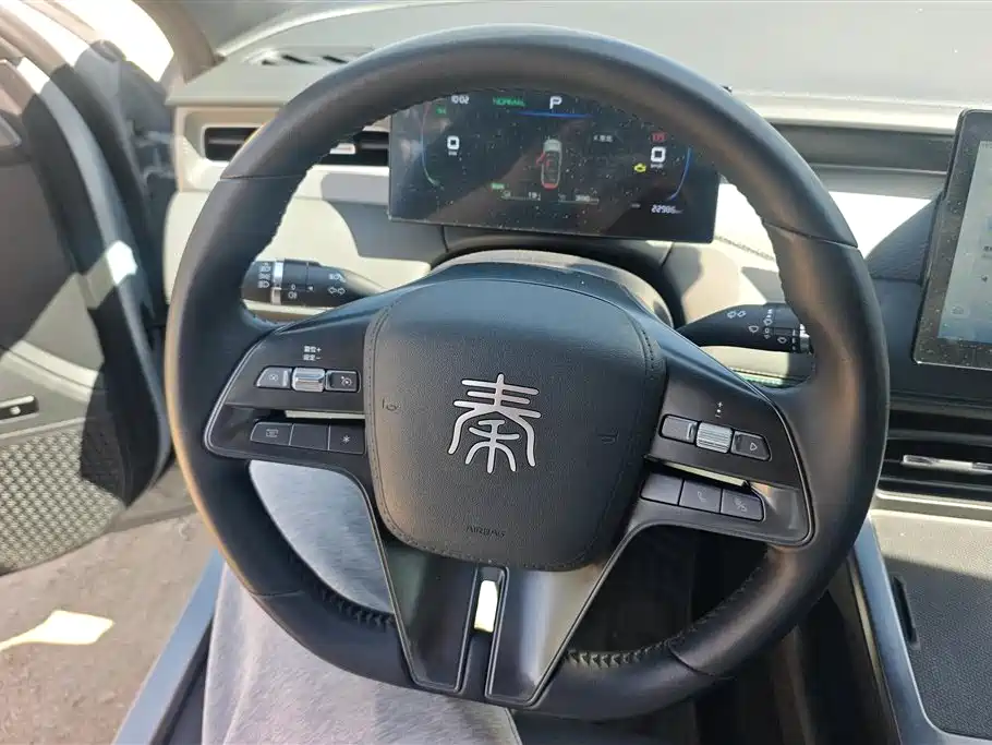 BYD Qin PLUS 2025 DM-i Smart Drive 55KM Leader фото 15