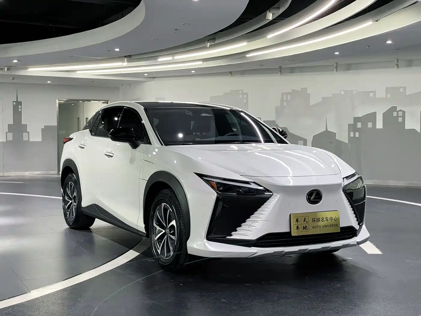 Lexus RZ 2023 450e 4WD Deluxe фото 2