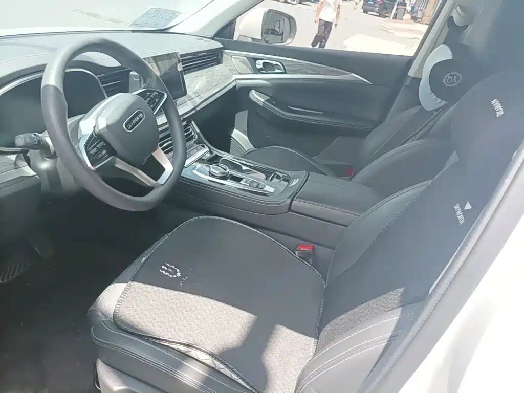 Фото 15 - Skyworth Auto Skyworth EV6
