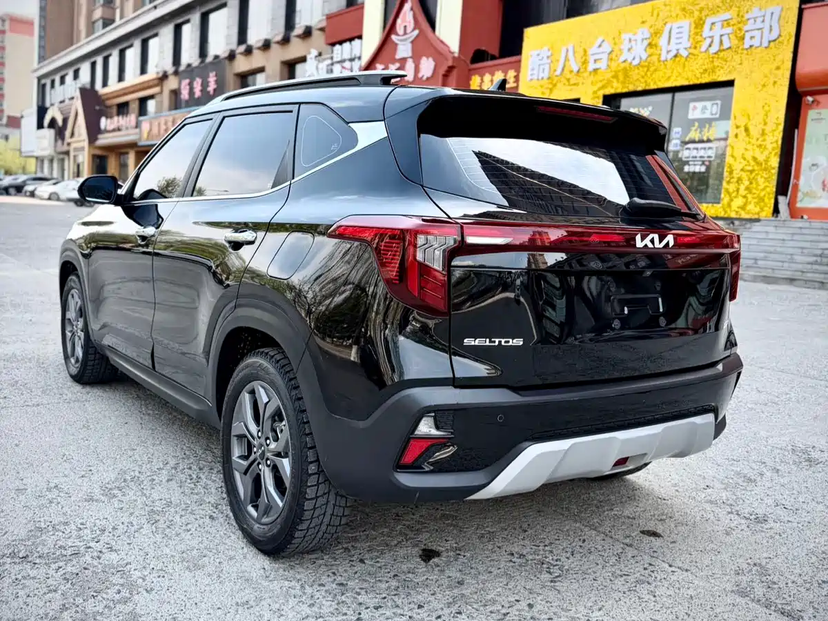 Kia Seltos 2023 1.5L CVT Luxury Edition фото 4