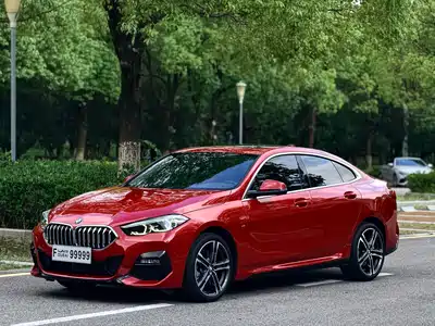 BMW 2 Series