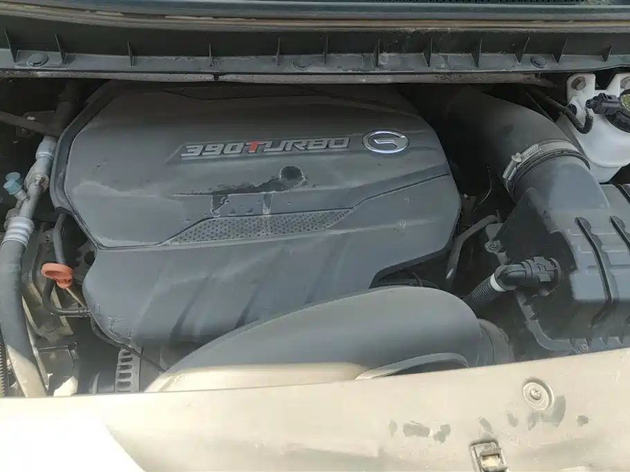 GAC Trumpchi Trumpchi M8 2021 Leading Show Series 390T Ultimate Edition фото 10