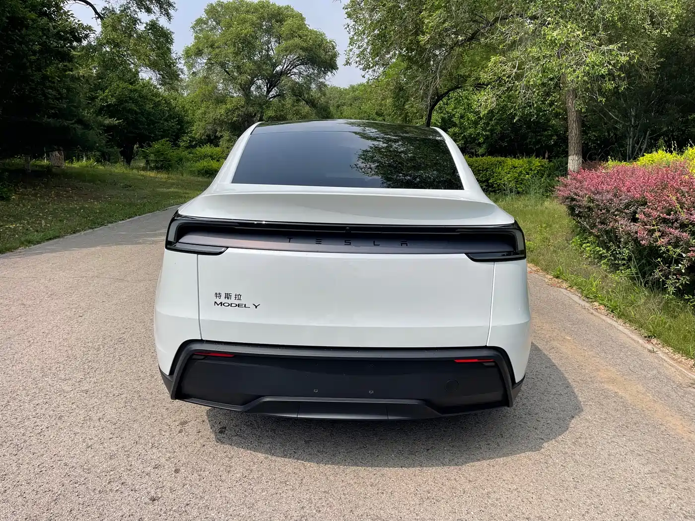 Tesla Model Y 2026 2026 Rear-Wheel Drive