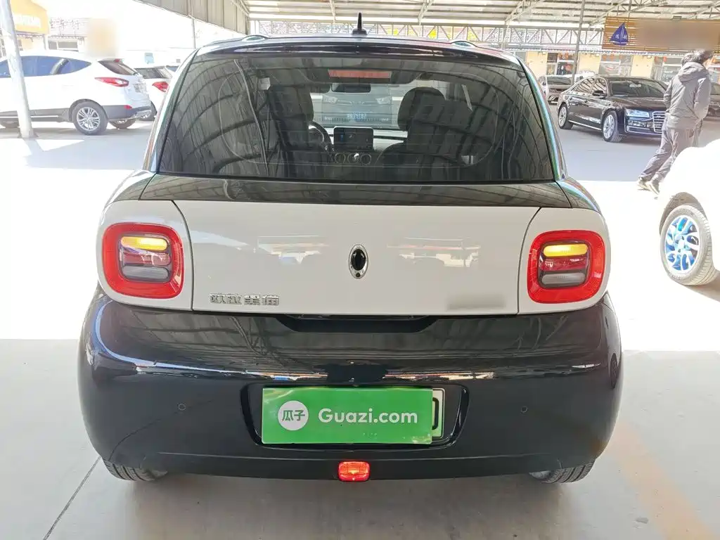 Ora Black Cat 2021 2021 301km Pet Edition