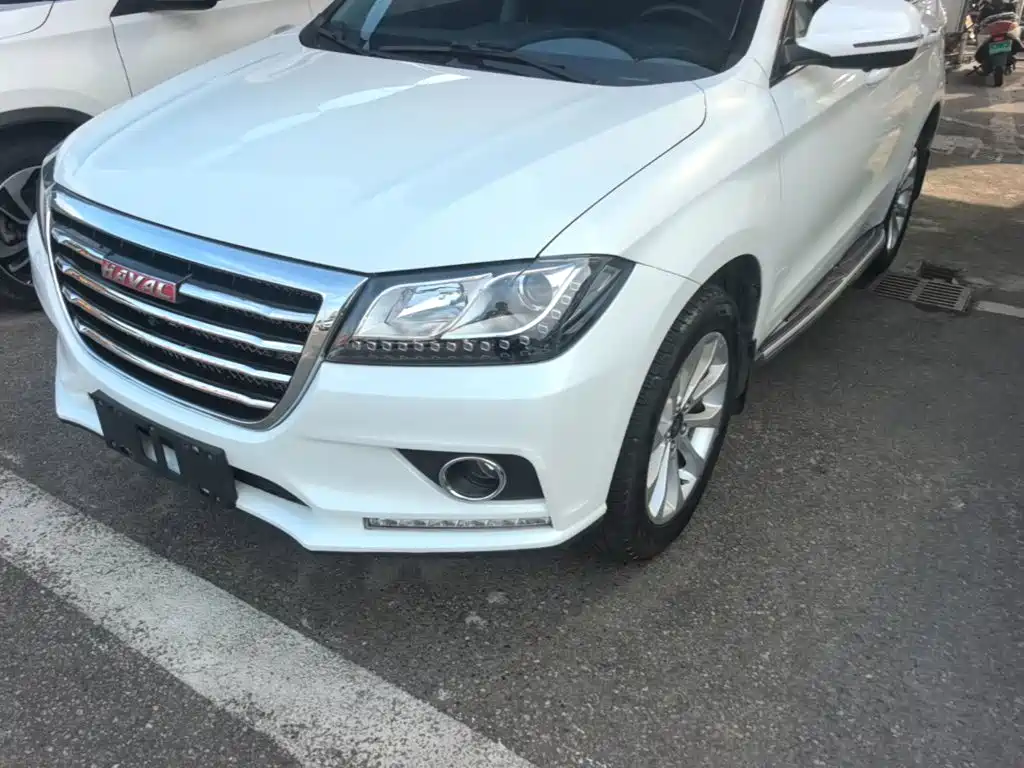 Фото 24 - Haval H2