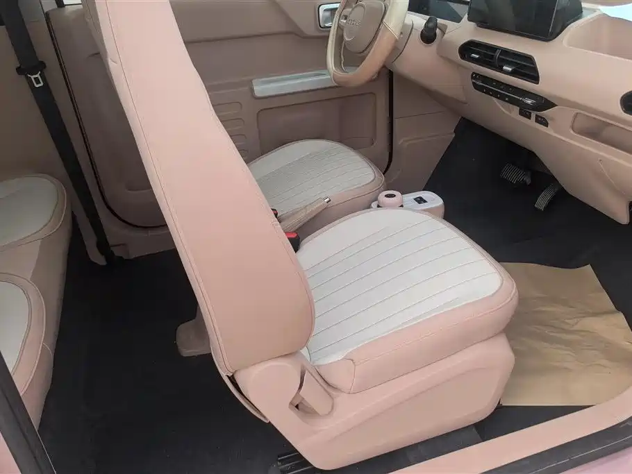 Geely Galaxy Panda 2023 Panda Mini 200km Lively Bear фото 8