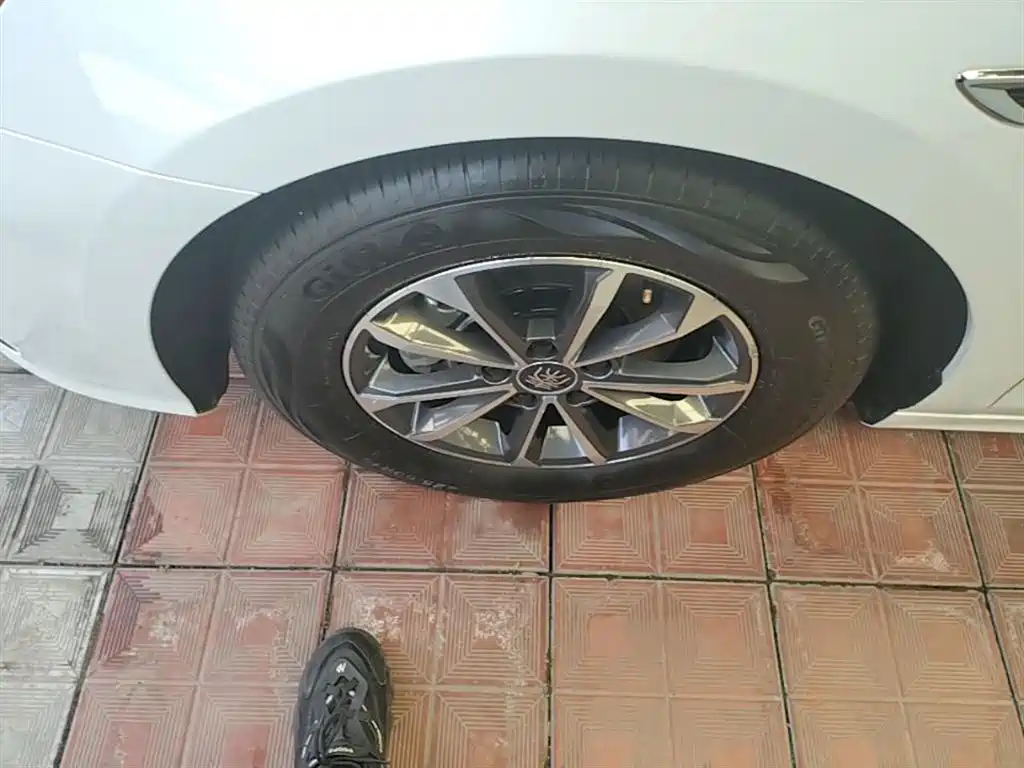 BYD Qin PLUS 2024 Glory Edition DM-i 55KM Leading фото 23