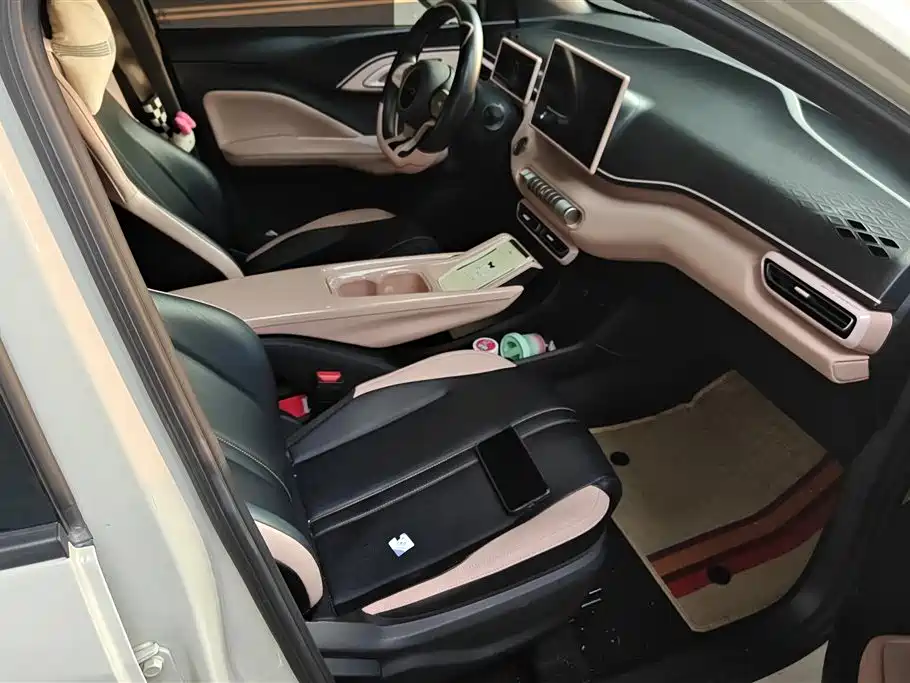 BYD Seagull 2024 Glory Edition 305km Vitality Edition фото 8