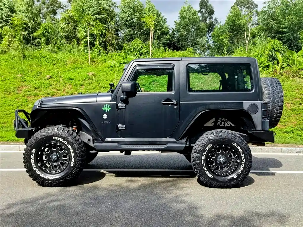Jeep Wrangler 2011 2011 3.8L Rubicon 2-Door