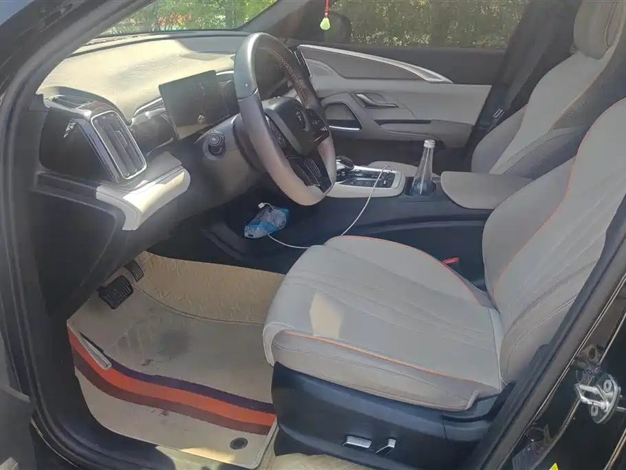 BYD Song Pro New Energy 2024 Glory Edition DM-i 71KM Pilot фото 9