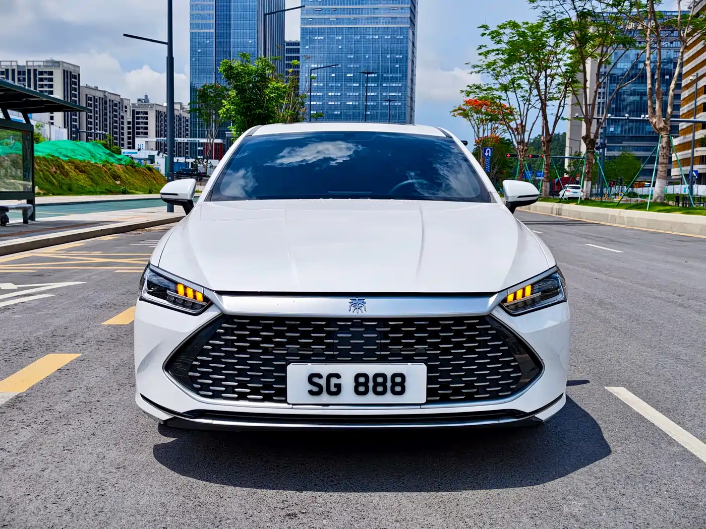 BYD Qin PLUS 2021 DM-i 55KM Flagship фото 2