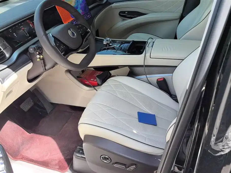 Denza D9 2024 DM-i 980 AWD Prestige фото 9