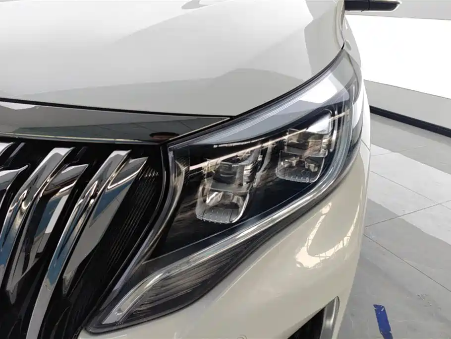 GAC Trumpchi Trumpchi M8 2021 Master Series 390T Prestige Edition фото 5