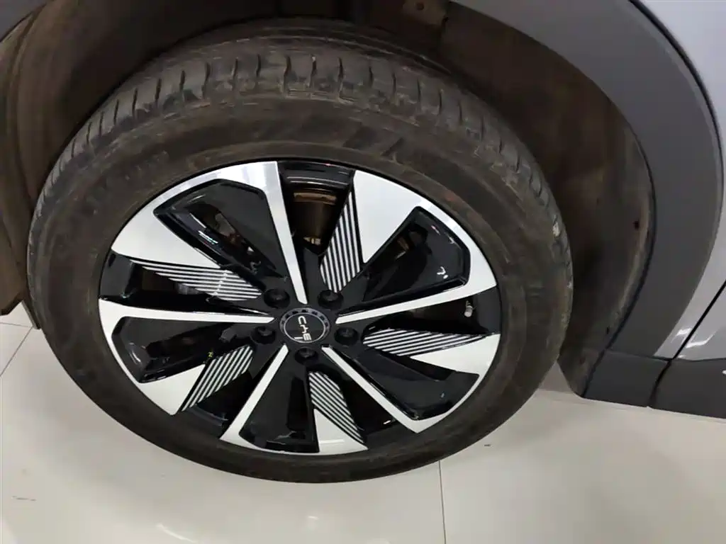 BYD Song PLUS PHEV 2025 DM-i 112KM Honor фото 23