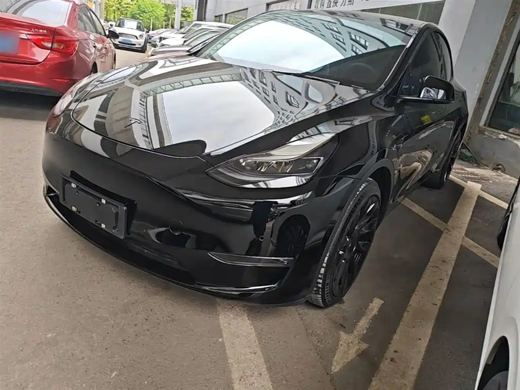 Tesla Model Y 2021 Standard Range Rear-Wheel Drive