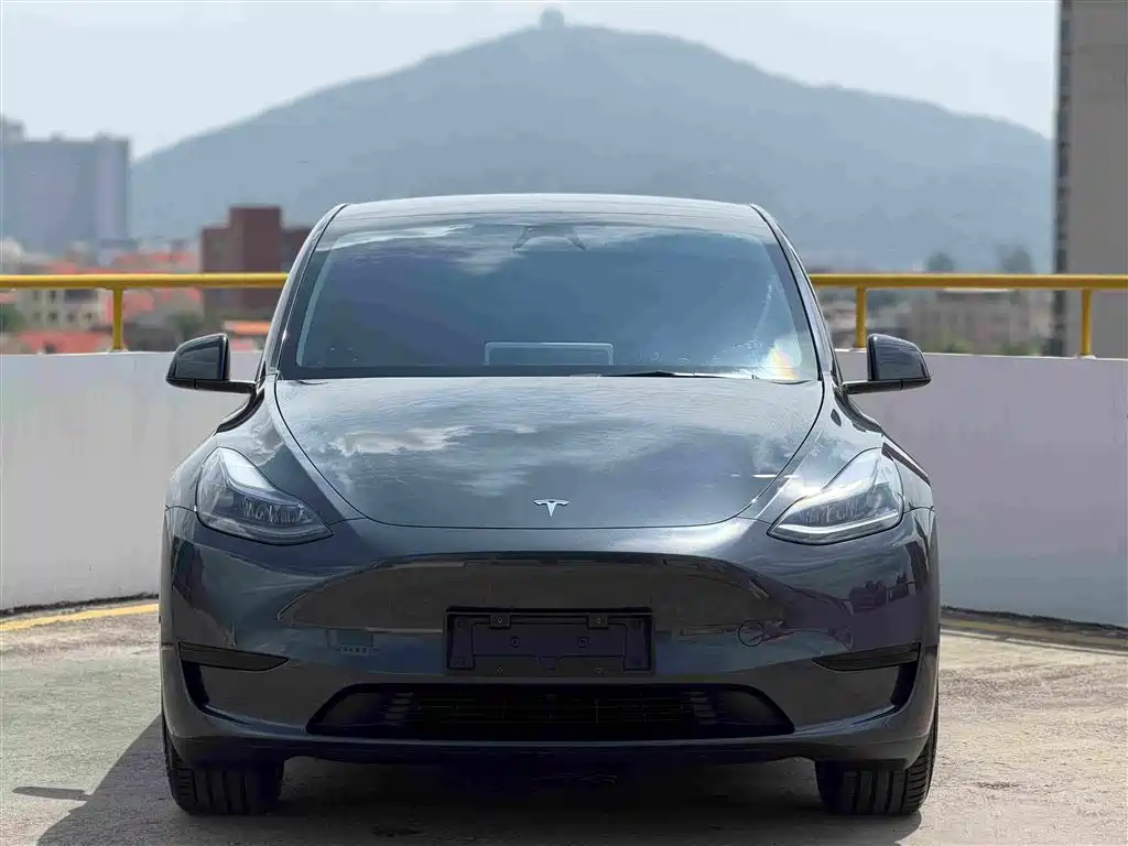 Фото 2 - Tesla Model Y