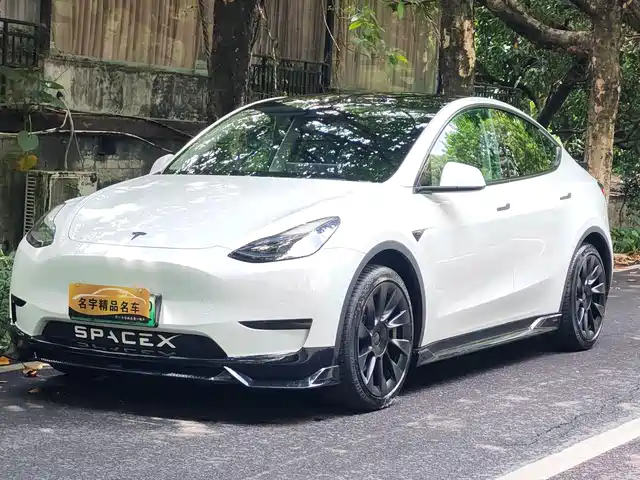 Tesla Model Y 2022 Rear-Wheel Drive Version