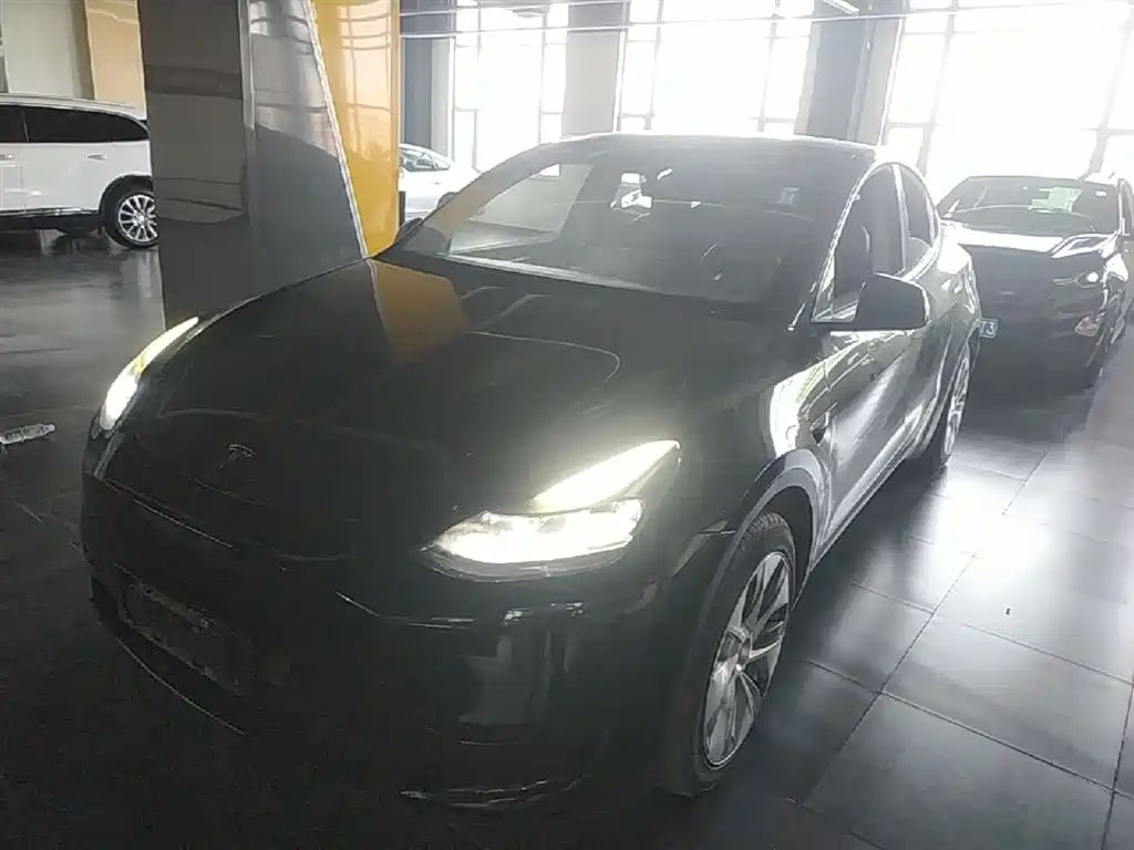 Tesla Model Y 2022 Rear-Wheel Drive Version