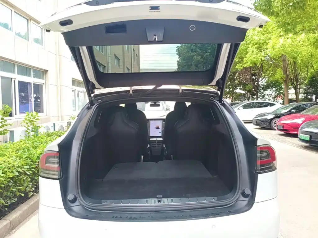 Фото 19 - Tesla Model X