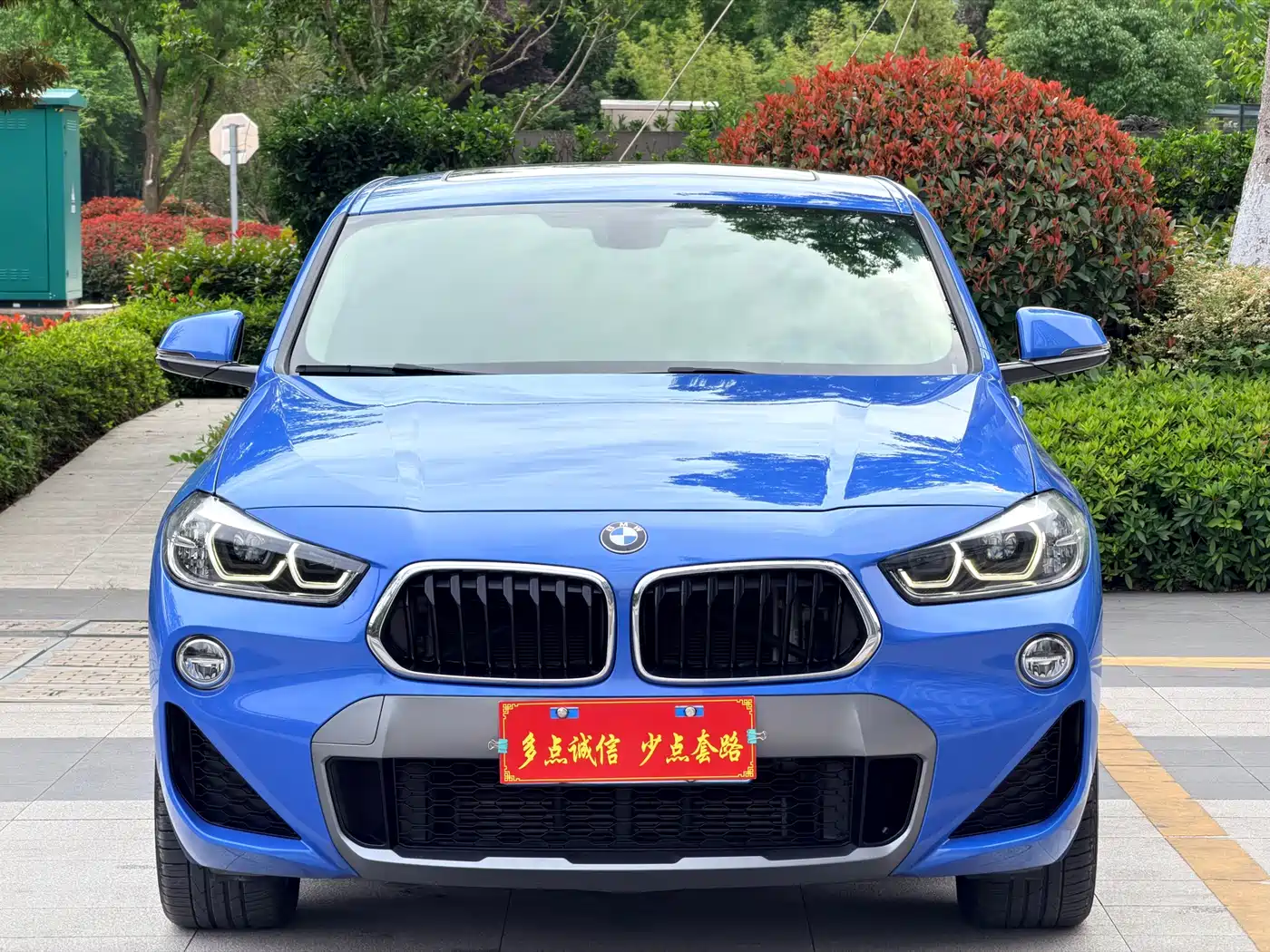 BMW X2 (Import) 2019 sDrive25i Luxury M Off-Road Package China VI фото 2