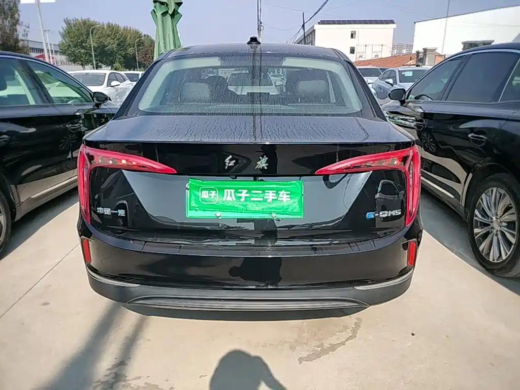 صورة 6 - Hongqi E-QM5