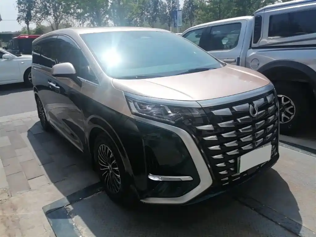 Denza D9 2022 DM-i 970 AWD Flagship фото 4