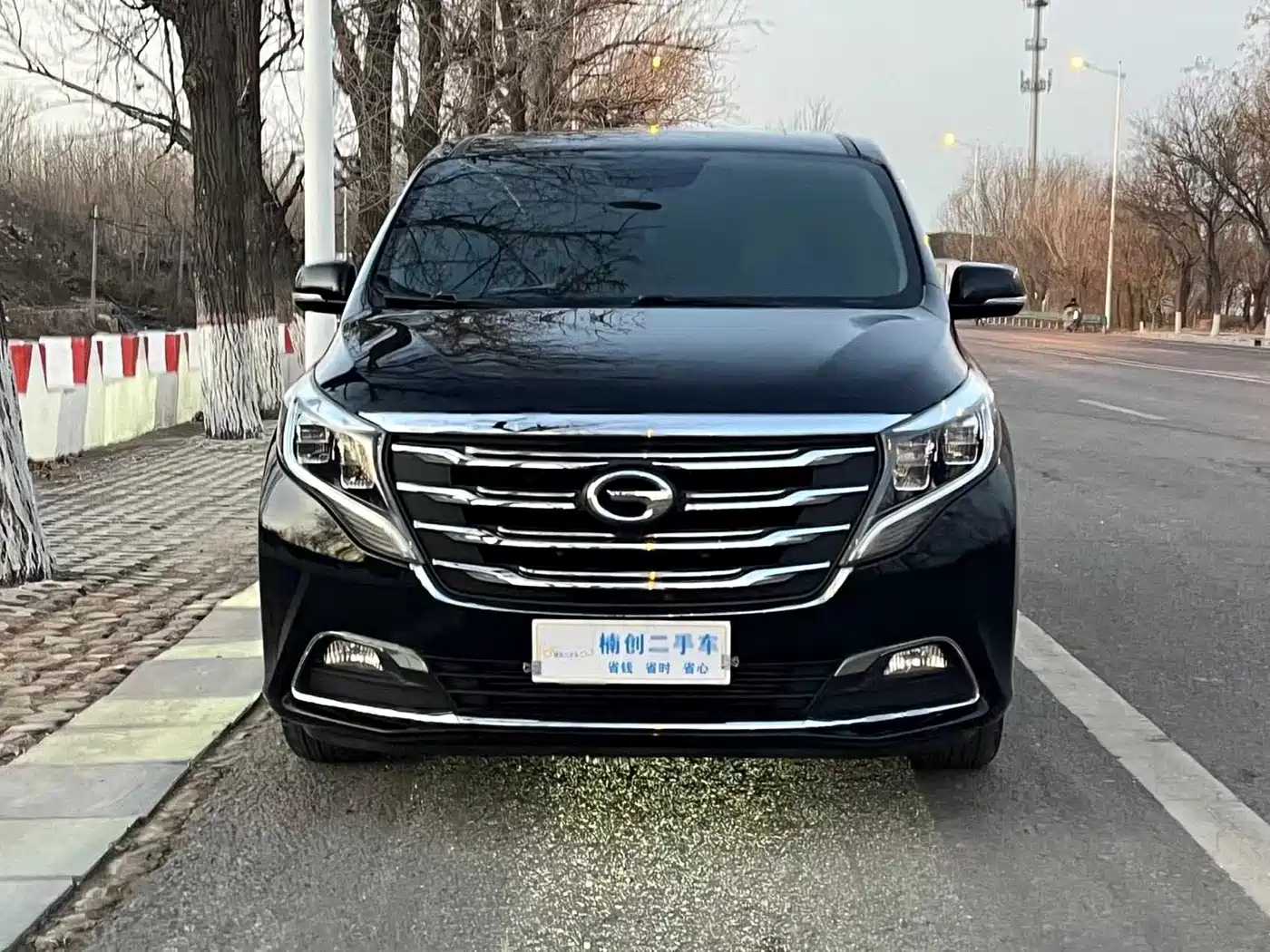 GAC Trumpchi Trumpchi M8 2018 320T Premium Edition фото 2