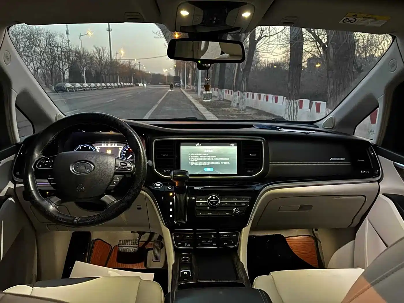 GAC Trumpchi Trumpchi M8 2018 320T Premium Edition фото 10