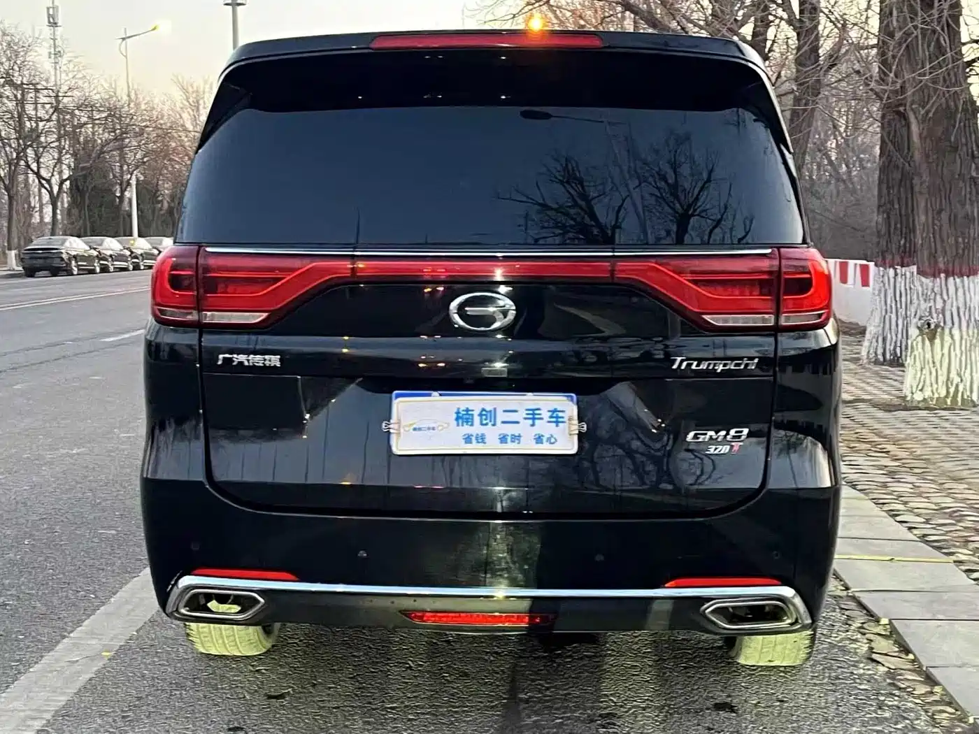 GAC Trumpchi Trumpchi M8 2018 320T Premium Edition фото 5