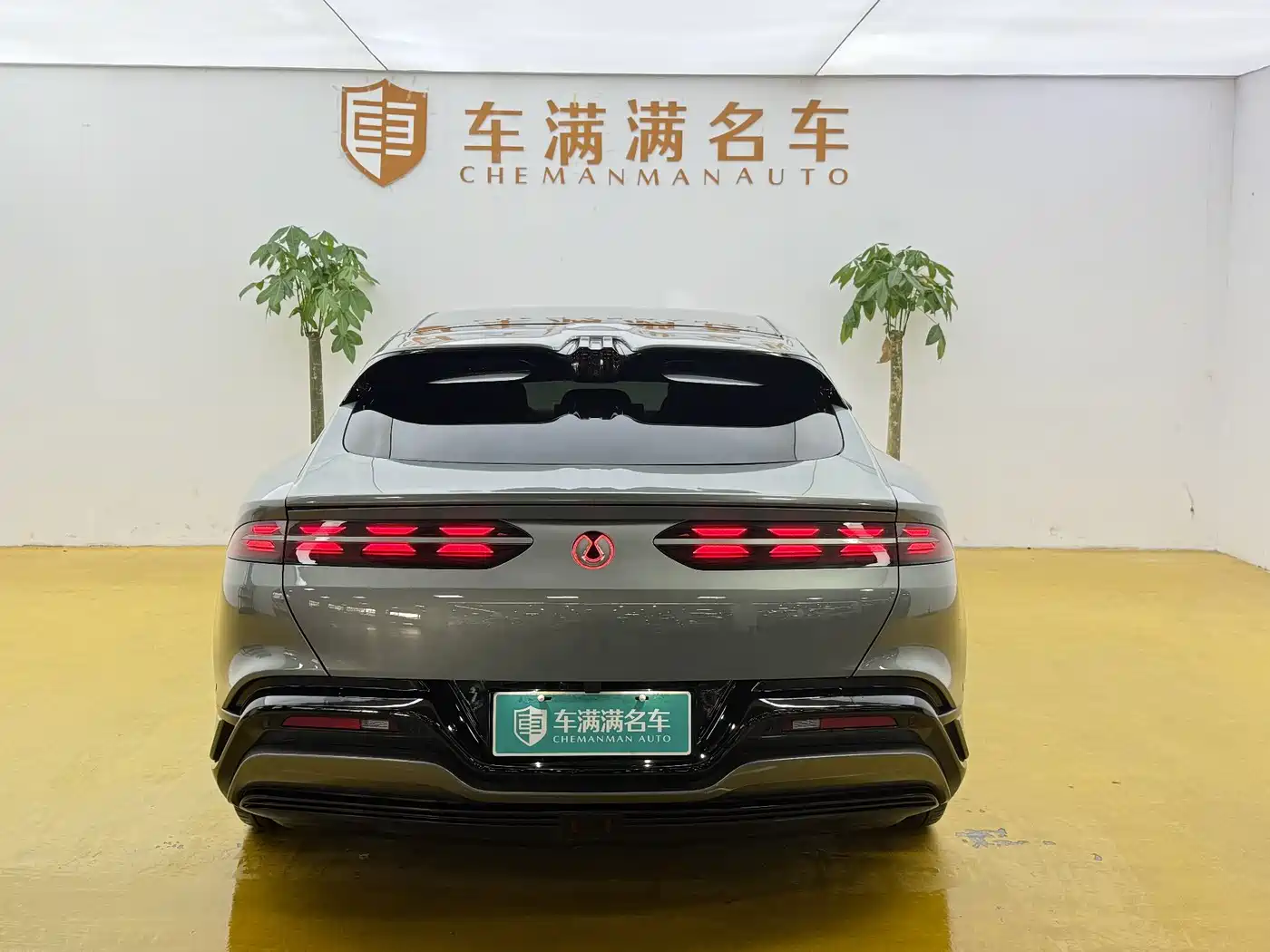 Denza Z9GT 2024 1100 AWD Max Launch Edition фото 12